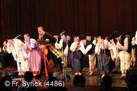Mezinárodní armádní festival Rožnovská Valaška