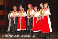 Mezinárodní armádní festival Rožnovská Valaška