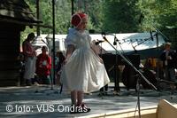 Mezinárodní armádní festival Rožnovská Valaška