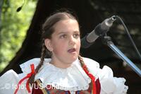 Mezinárodní armádní festival Rožnovská Valaška