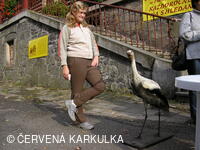 Perníkiáda s VŘSR 2006