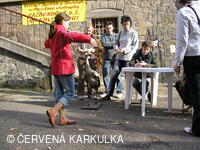 Perníkiáda s VŘSR 2006