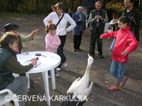 Perníkiáda s VŘSR 2006