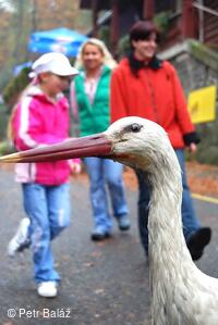 Perníkiáda s VŘSR 2008