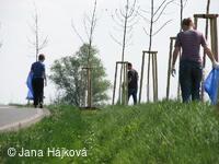 DEN ZEMĚ