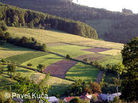 Bílé Karpaty, Nedašov, krajina