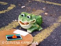 Perníkiáda s VŘSR 2010 - obskakování žabí královny