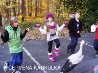 Perníkiáda s VŘSR 2010 - čapí stoj na jedné noze